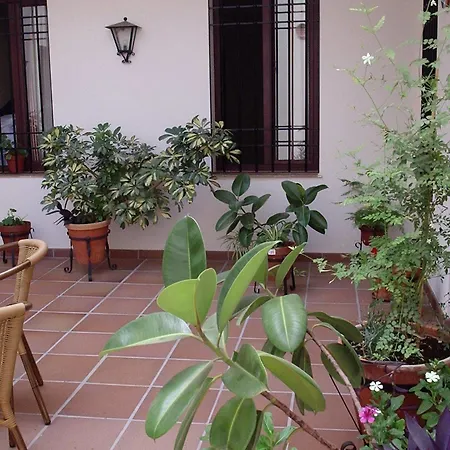Rurales Molino Almona Hotel *